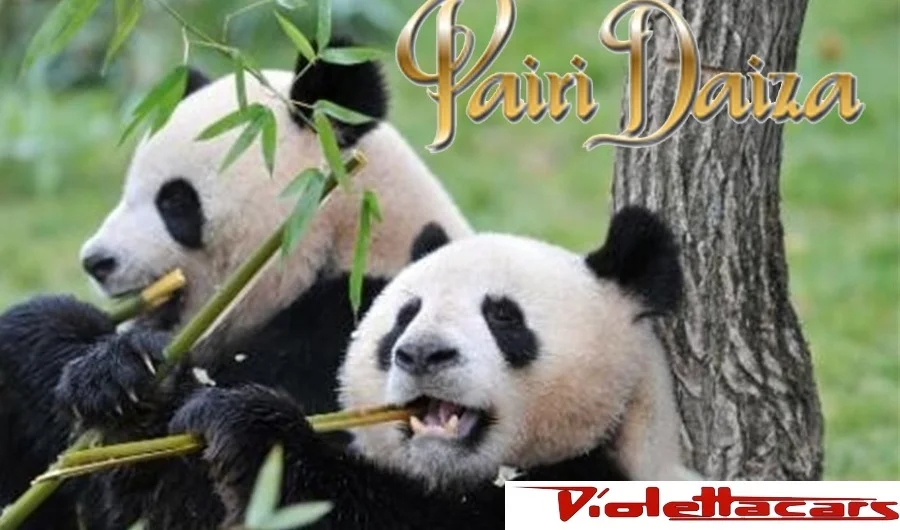 Pairi Daiza (Carnaval & Venetiaanse maskers)