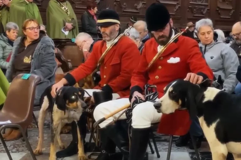 Saint Hubert & Wildmenu