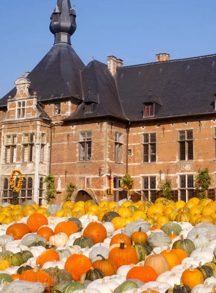 Pumpkimania Groot-Bijgaarden