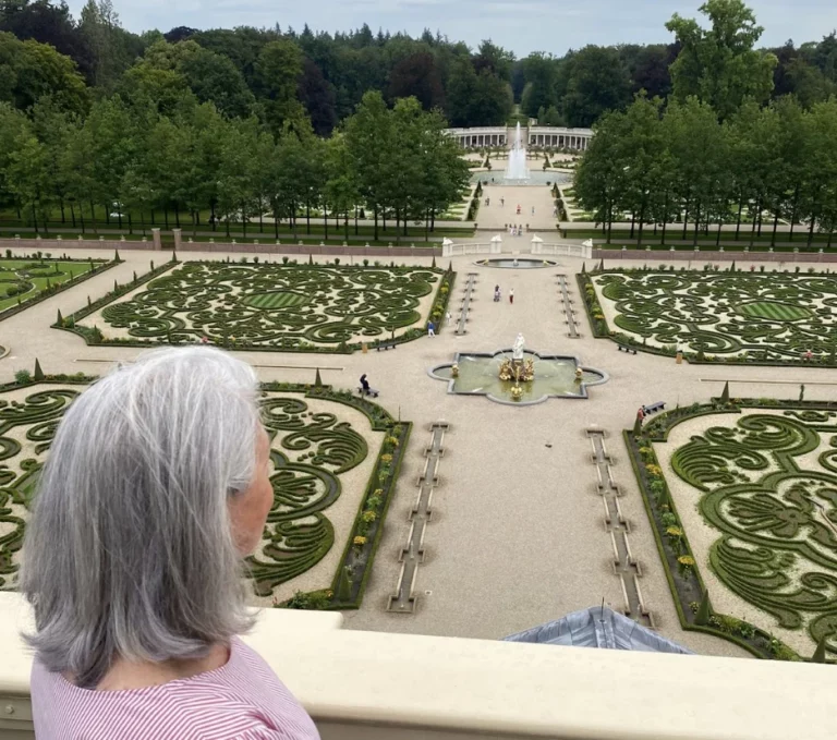 3D Drenthe (All inclusive hotel)