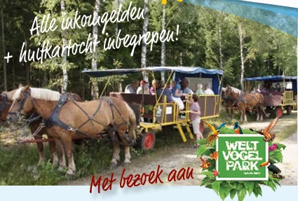 4D Lüneburger Heide