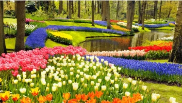 KEUKENHOF & SCHEVENINGEN
