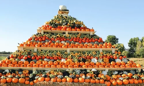 2D Eifel met pompoenshow