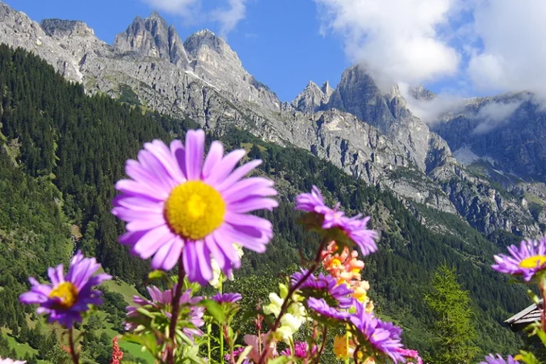 7D Wipptal – Matrei am Brenner